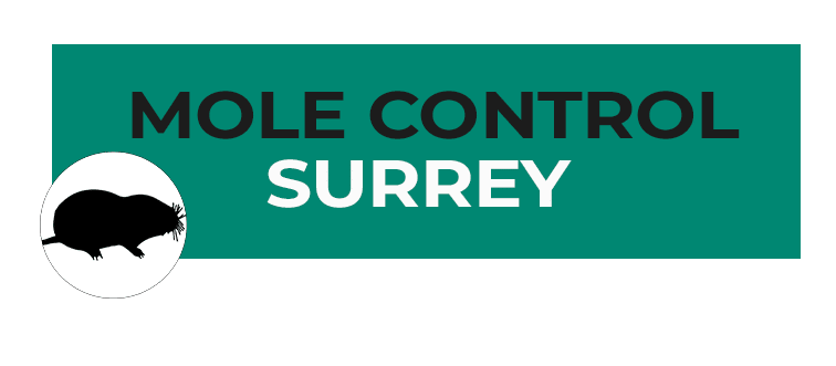 Mole Control Surrey